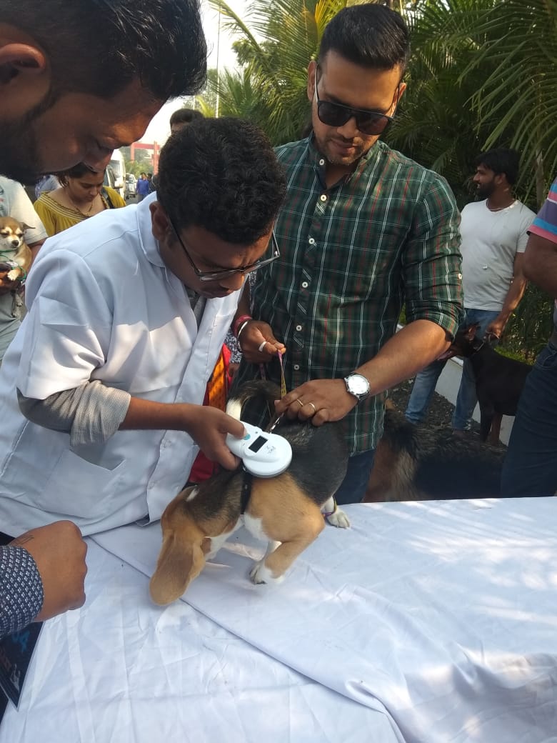 Sarvadnya Pet Care Unit veterinary clinic, Pune